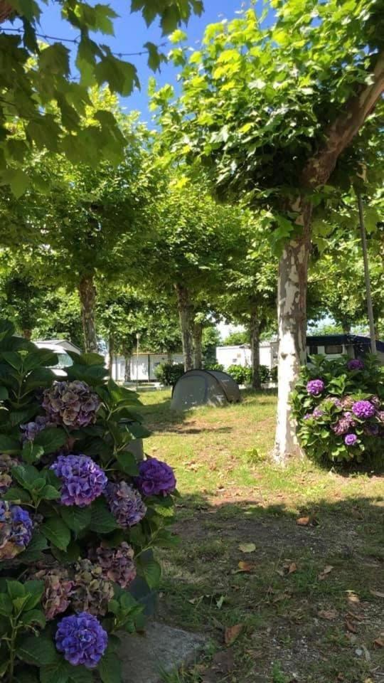 Rianxo Campsite Rianjo